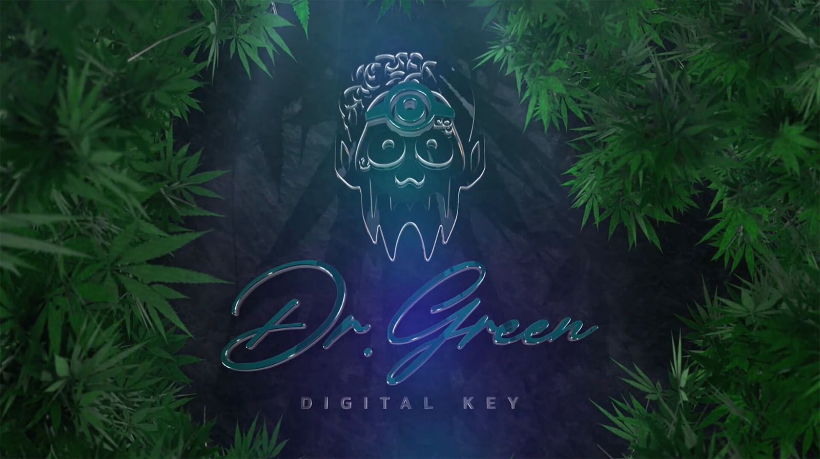 Dr. Green Nft